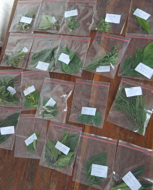 21 Type Of Leaves For Ganesh Patri Pooja